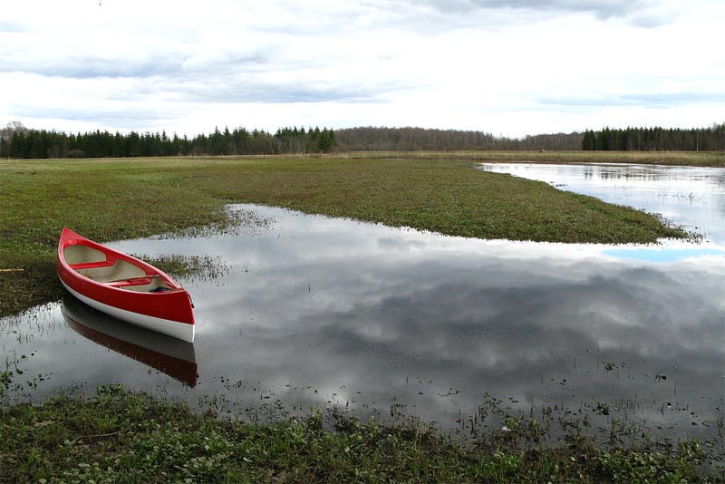 soomaa-national-park