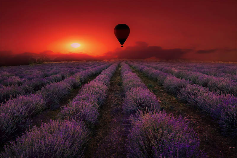 provence