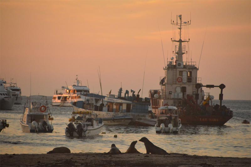 galapagos-travel-through-cruise