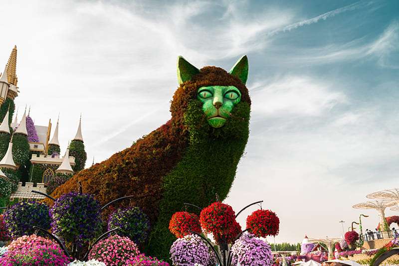 the-miracle-garden-is-the-largest-flower-garden-in-the-world