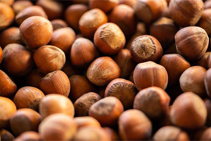 turkey-is-the-largest-producer-of-hazelnuts