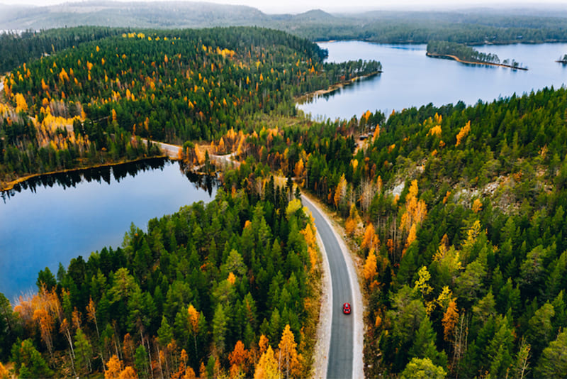 sweden-has-mostly-covered-with-forestry