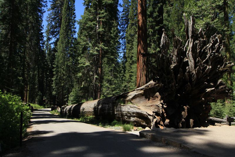 yosemite national park california