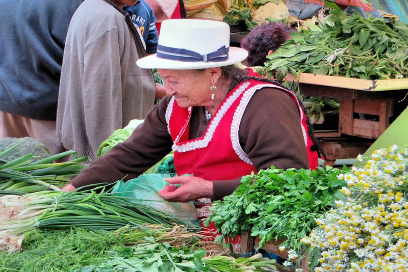 Hit the highlands from Cuenca