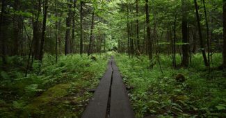 best hikes in new york state