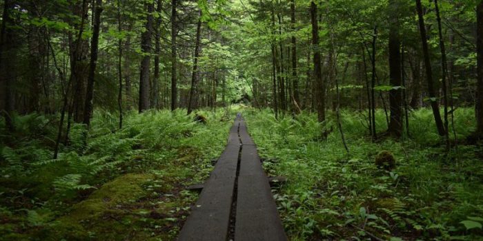 best hikes in new york state