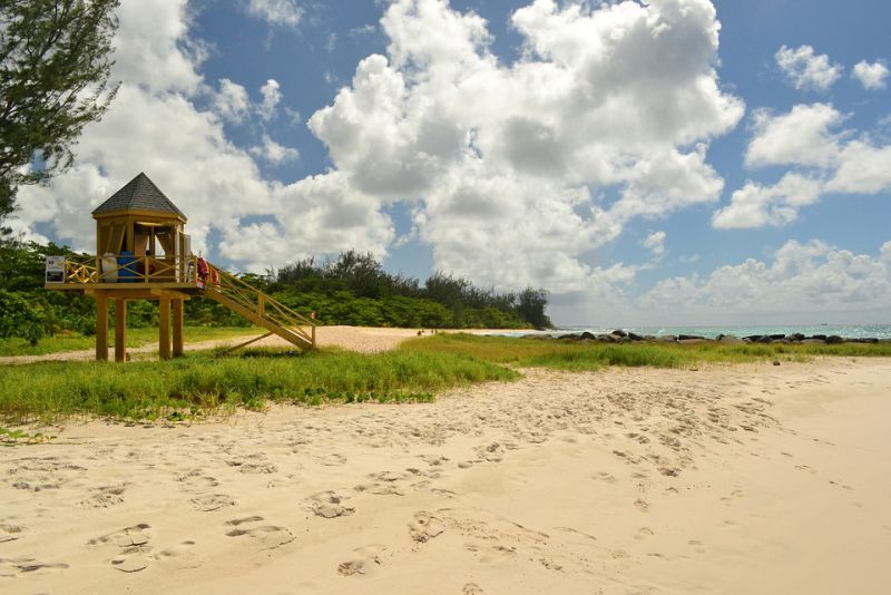 Best Beaches in Barbados Needham's Point