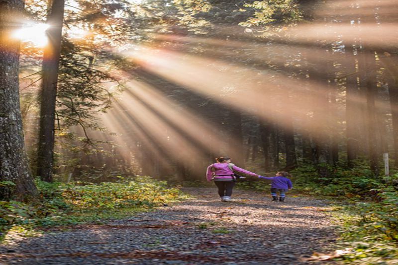 Best Hikes in New York State Discover the Eternal Flame Falls at Chestnut Ridge Park