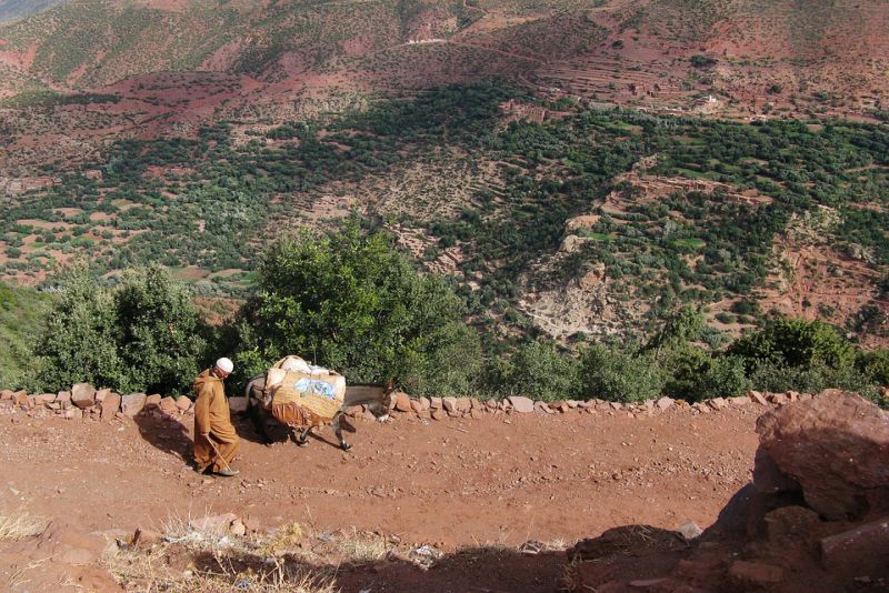 Best Things to Do in Morocco Hike the Atlas Mountains