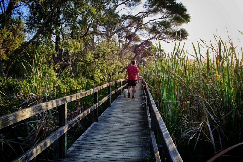Discover the Best Hikes in Australia with the Bondi to Coogee Coastal Walk