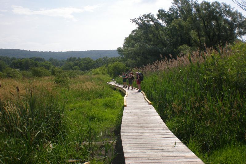 Experience a Section of the Iconic Appalachian Trail