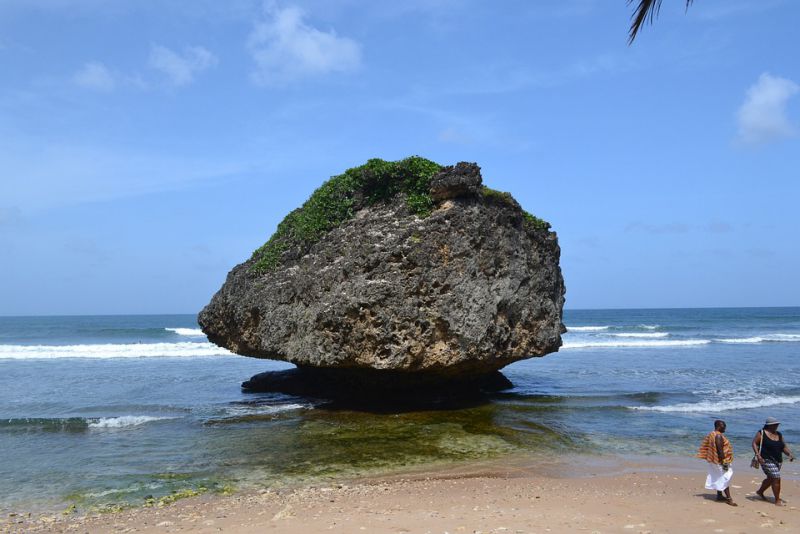 Experience the Secluded Charm of Shark Hole, One of the Best Beaches in Barbados