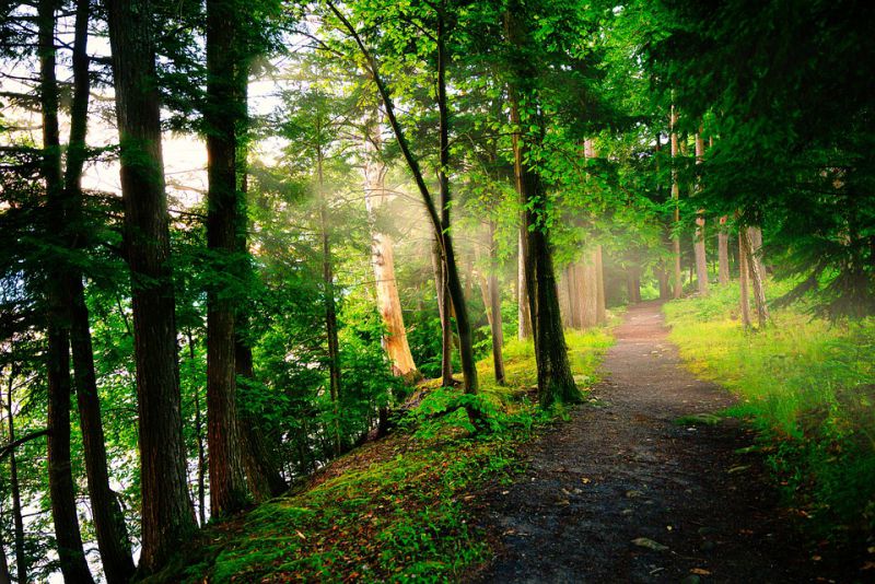 Explore the Best Hikes in New York State with the Prospect Mountain Trail at Lake George