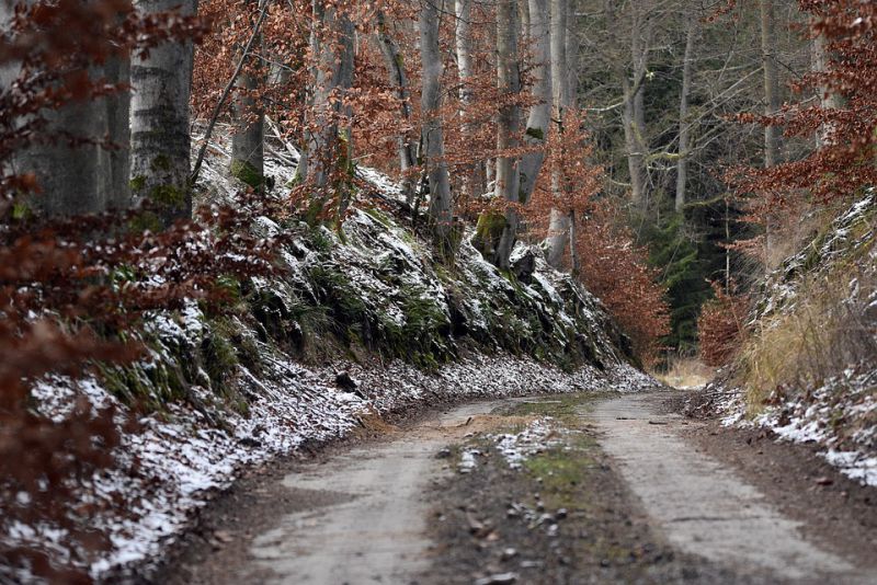 The Watkins Glen State Park Gorge Trail