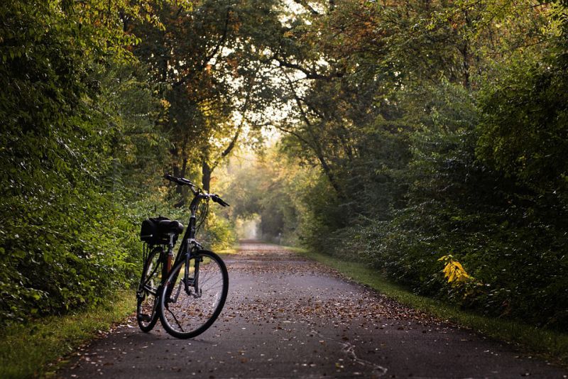 Best Bike Trails in Seattle The Burke Gilman Trail