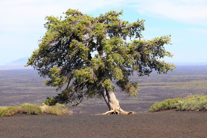 Exploring Craters of the Moon National Monument