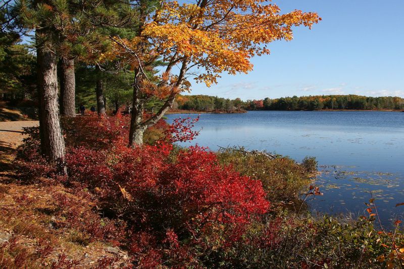 Exploring the Scenic Trails of Acadia National Park