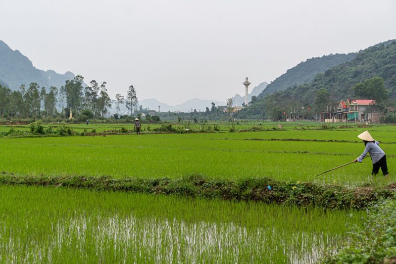 Phong Nha Ke Bang National Park