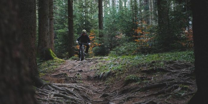 best bike trails in seattle