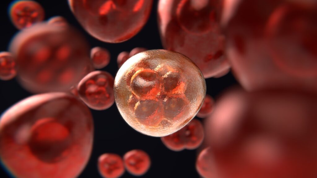 May Help Combat Cancer Cell Growth