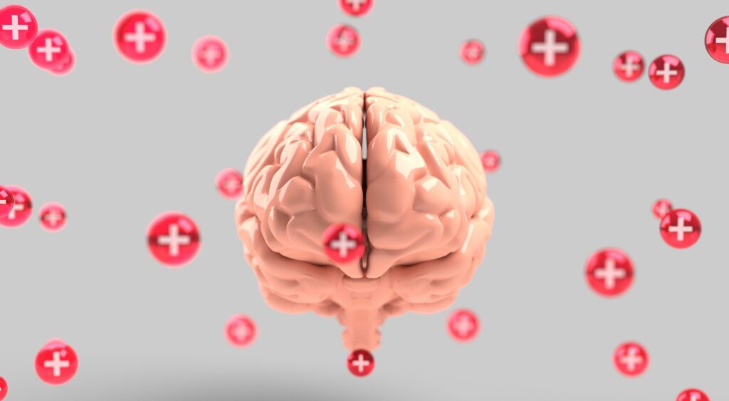 Supports Brain Health and Memory